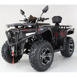 Квадроцикл Motax Grizlik 300, фото 11 Квадроцикл Motax Grizlik 300, фото 11