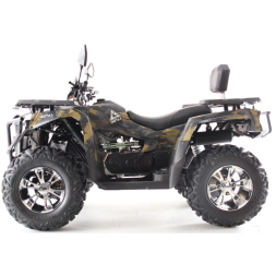 Квадроцикл Motax Grizlik 300, фото 9 Квадроцикл Motax Grizlik 300, фото 9