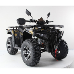 Квадроцикл Motax Grizlik 300, фото 7 Квадроцикл Motax Grizlik 300, фото 7