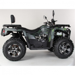 Квадроцикл Motax Grizlik 300, фото 6 Квадроцикл Motax Grizlik 300, фото 6