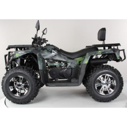 Квадроцикл Motax Grizlik 300, фото 5 Квадроцикл Motax Grizlik 300, фото 5