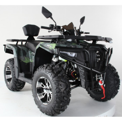 Квадроцикл Motax Grizlik 300, фото 4 Квадроцикл Motax Grizlik 300, фото 4