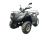 Квадроцикл RATO RT250ST Premium