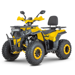 Квадроцикл Dazzle ATV200 Комплектация 1, фото 2