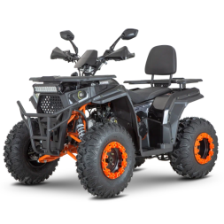 Квадроцикл Dazzle ATV200 Комплектация 1, фото 1