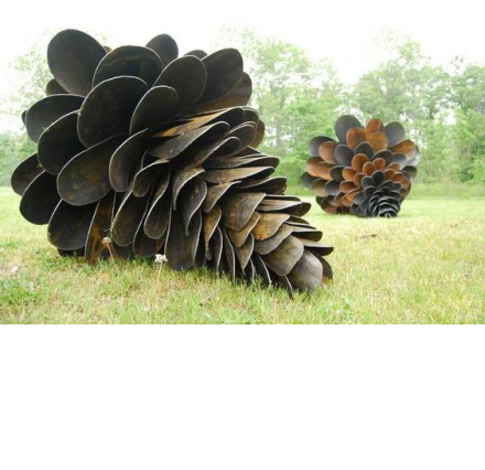 Шишка, фото 1