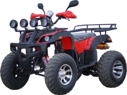 Квадроцикл STALKER 250 Lux, фото 1