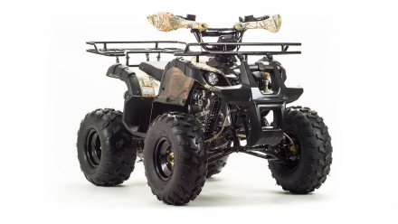 Квадроцикл MOTOLAND 125 Fox, фото 3