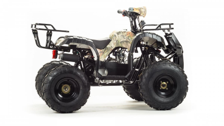 Квадроцикл MOTOLAND 125 Fox, фото 2