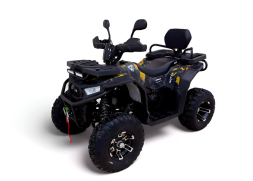 Квадроцикл MOTAX Grizlik W200 LUX Квадроцикл MOTAX Grizlik W200 LUX
