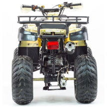 Квадроцикл STALKER 250