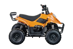 Квадроцикл STALKER 110, фото 4