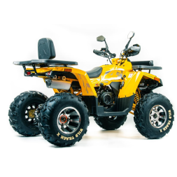 Квадроцикл MOTOLAND 200 Wild Track X Pro (Баланс. вал) (2021 Г.), фото 5