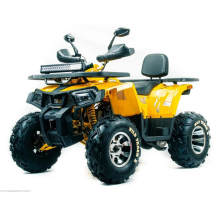 Квадроцикл MOTOLAND 200 Wild Track X Pro (Баланс. вал) (2021 Г.)
