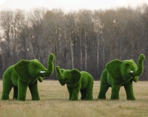 Топиари композиция Слоны, большая семья, 3 шт - газон Premium