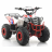 Квадроцикл MOTAX ATV Grizlik A110