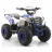 Квадроцикл MOTAX ATV Grizlik A110