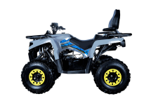 Квадроцикл AVANTIS Forester Long 200 Basic