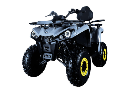 Квадроцикл AVANTIS Forester Long 200 Basic, фото 1