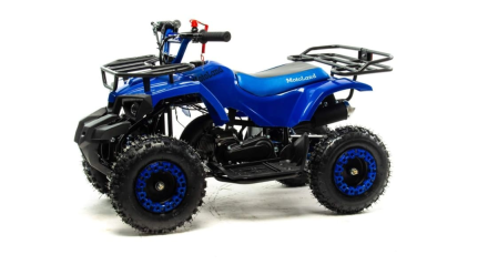 Квадроцикл MOTOLAND 50E Scorpion (2021 Г.), фото 7