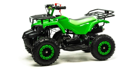 Квадроцикл MOTOLAND 50E Scorpion (2021 Г.), фото 5