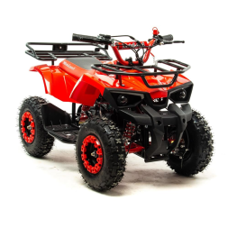 Квадроцикл MOTOLAND 50E Scorpion (2021 Г.), фото 2