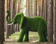 Топиари слон Барон - газон Eco