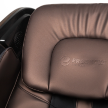 Массажное кресло Ergonova Organic 4 PM Espresso Brown