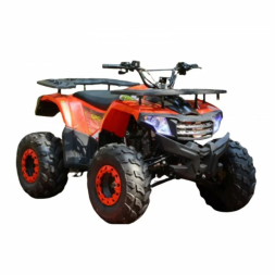 Квадроцикл WELS ATV Thunder AX 125 Квадроцикл WELS ATV Thunder AX 125