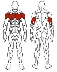 Жим от груди двойной (серый) - Уличный тренажер двойной - СТ 030-13.И1, фото 6 Жим от груди двойной (серый) - Уличный тренажер двойной - СТ 030-13.И1, фото 6