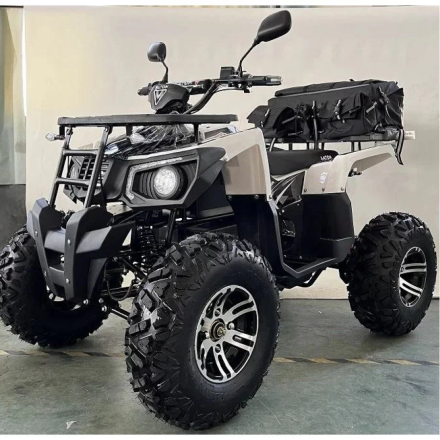 Квадроцикл MOTAX ATV GRIZLIK E3000, фото 1