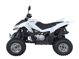 Квадроцикл SYM QuadRaider 300 SD, фото 2 Квадроцикл SYM QuadRaider 300 SD, фото 2