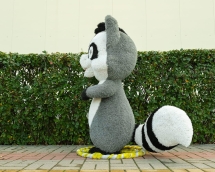 Топиари енот Ролс - газон Eco Топиари енот Ролс - газон Eco