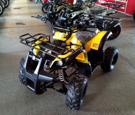 Квадроцикл AVANTIS Hunter 7 LITE, фото 9