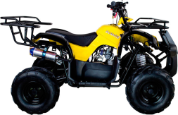 Квадроцикл AVANTIS Hunter 7 LITE, фото 6