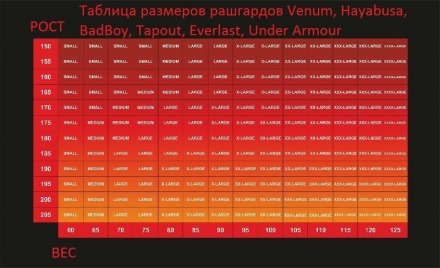 Рашгард Hayabusa hayrash068, фото 2
