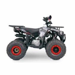 Квадроцикл YACOTA SIRIUS 125, фото 14 Квадроцикл YACOTA SIRIUS 125, фото 14