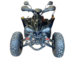 Квадроцикл MOTORHEAD RockIt 200, фото 2 Квадроцикл MOTORHEAD RockIt 200, фото 2
