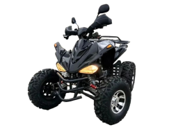 Квадроцикл MOTORHEAD RockIt 200, фото 1 Квадроцикл MOTORHEAD RockIt 200, фото 1