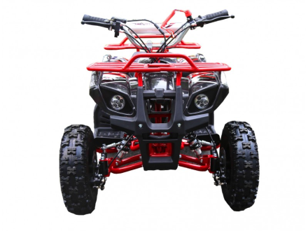 Квадроцикл MOTOLAND 50 Mini, фото 2