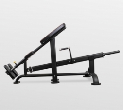 BRONZE GYM PL-1718 Т-образная тяга, фото 2