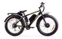 Велогибрид BIGCAT DUAL 1000