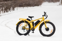 Велогибрид BIGCAT DUAL 1000