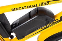 Велогибрид BIGCAT DUAL 1000