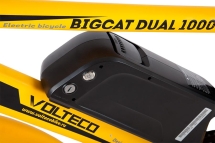 Велогибрид BIGCAT DUAL 1000