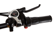 Велогибрид BIGCAT DUAL 1000