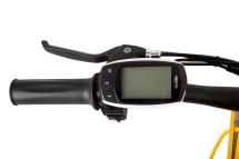 Велогибрид BIGCAT DUAL 1000