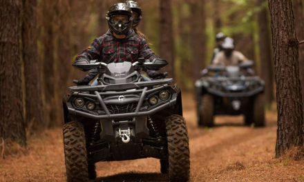 Квадроцикл BRP Can-Am Outlander XT-P 850 (2024) (ПСМ), фото 4