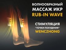 Массажное кресло FUJIMO 氣 GURU2 F800 Коричневый Массажное кресло FUJIMO 氣 GURU2 F800 Коричневый