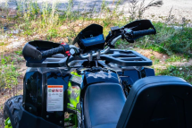 Квадроцикл MOTOLAND 200 Wild Track Lux ( Баланс. вал) (2021 Г.)